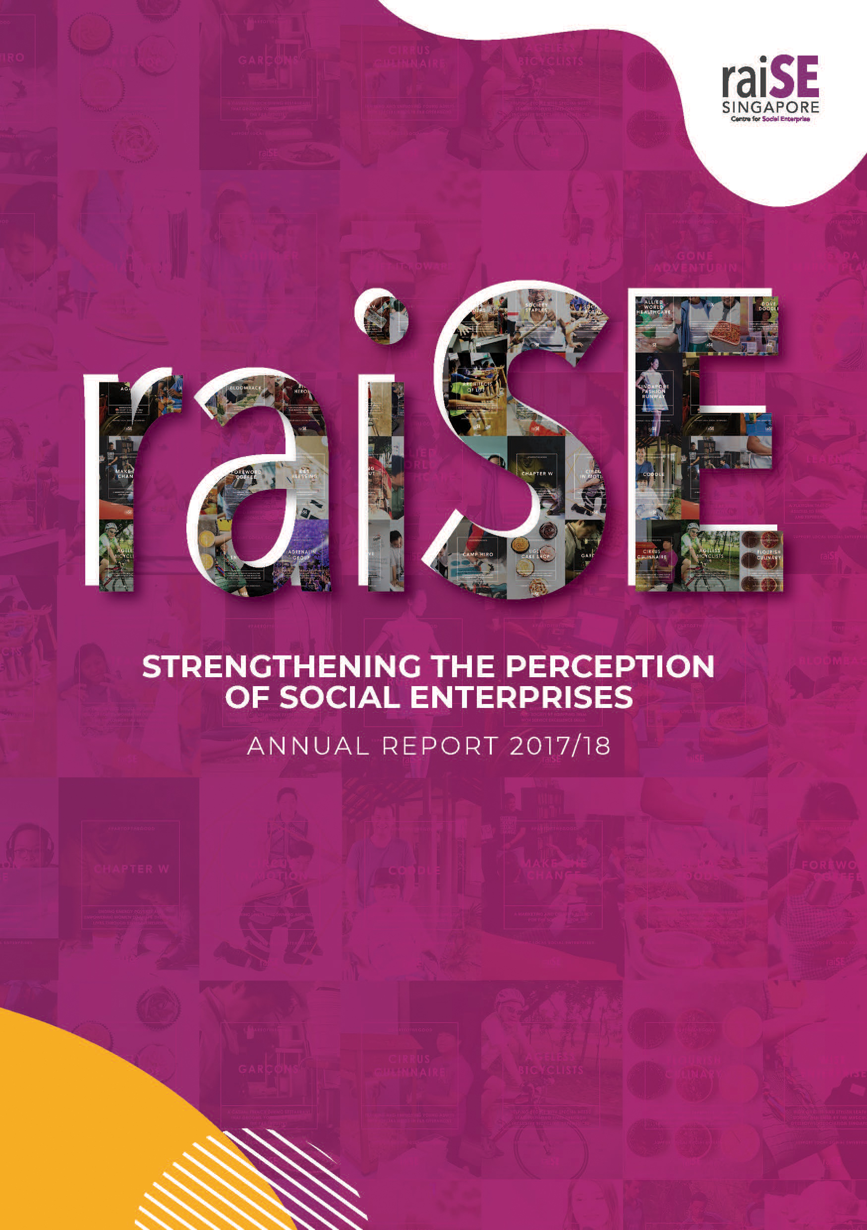 raiSE Annual Report 2017-2018